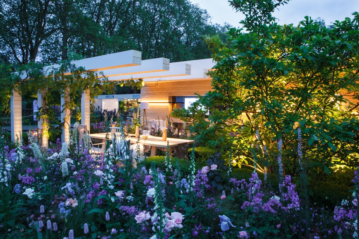 Shining Light at Chelsea Flower Show 2016 image