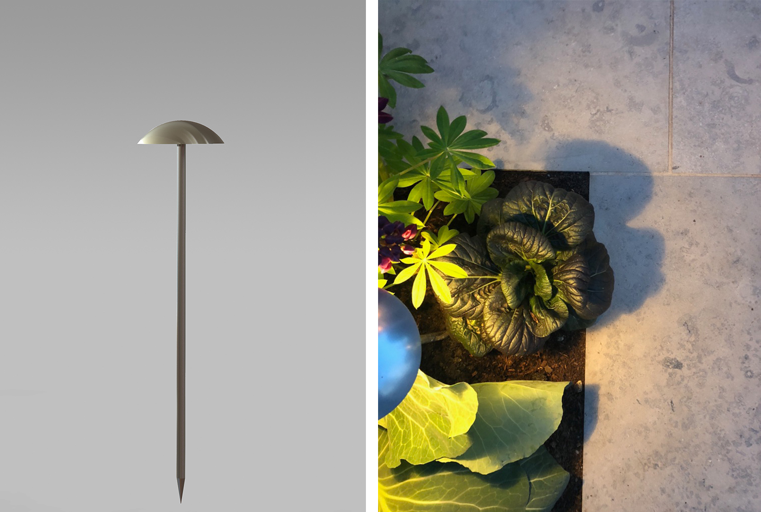 A New Magic Mushroom To Illuminate Your Garden image
