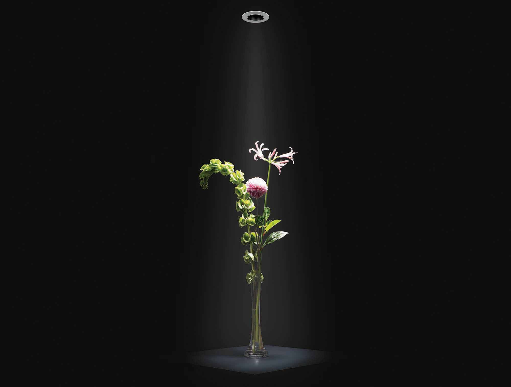 Polespring - The Benchmark Downlight image