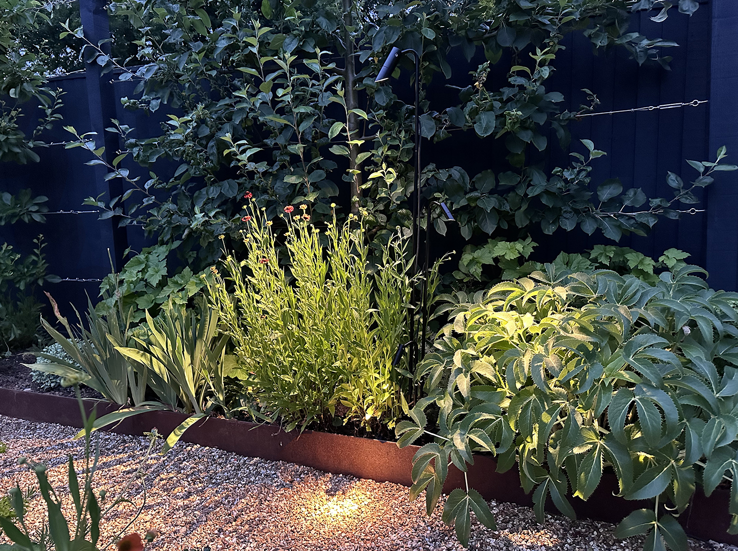 Introducing the new Dark Sky Kew Garden Light image