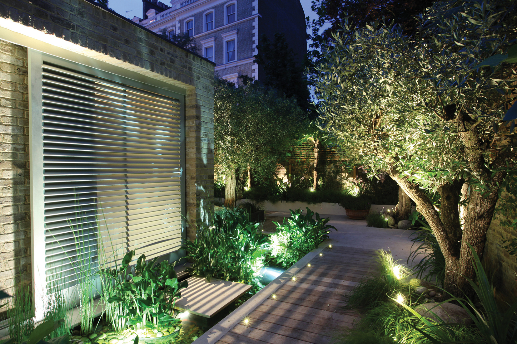 garden with layered lighting, olive tree and water rill