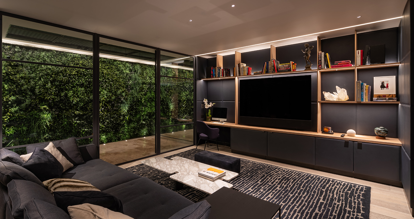 CONTEMPORARY TV ROOM image