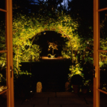 View outsideof conservatory doors to garden with lit olive tree at end