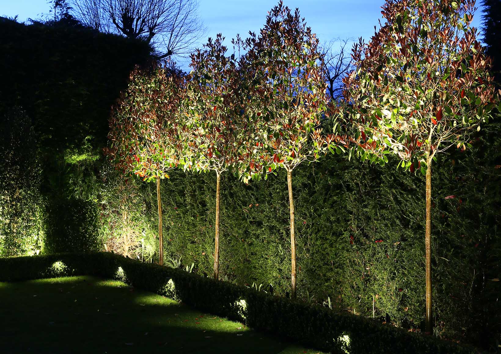 flood lighting of hedge by spike light fittings