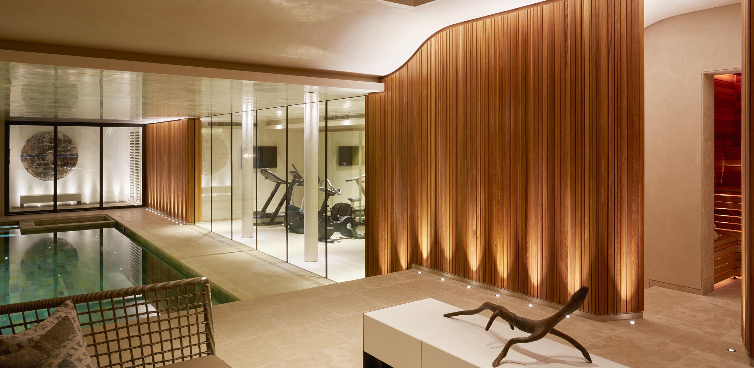 BASEMENT POOL, SAUNA AND GYM image